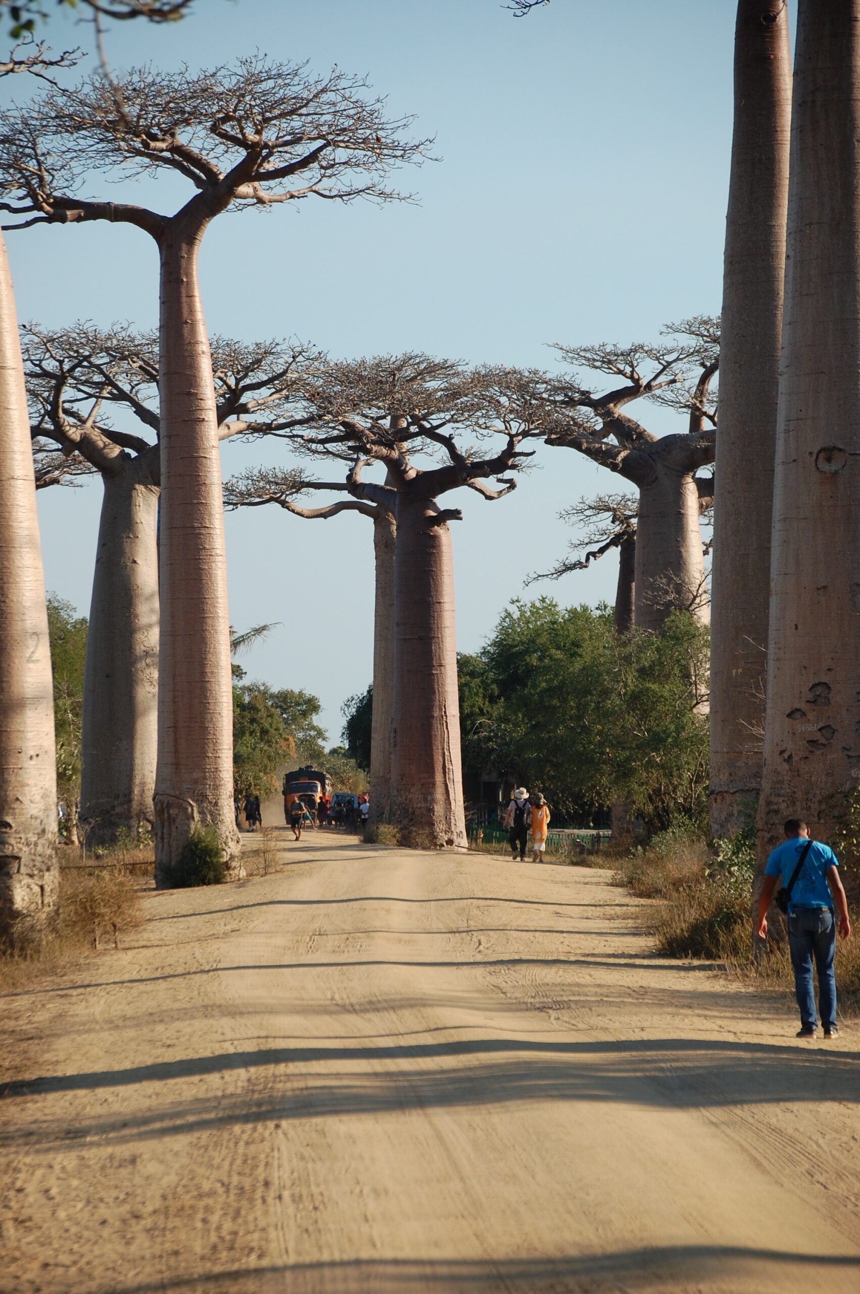 Financiamos tu viaje madagascar