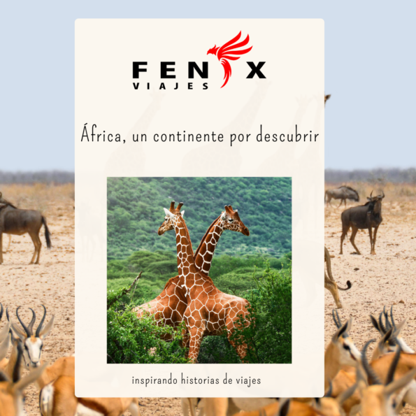 Viajes a África Viajes a África