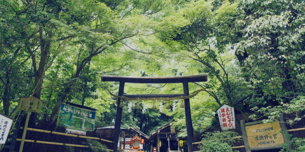 visitar jardines viaje a kioto