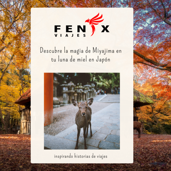 Descubre la magia de Miyajima en tu luna de miel en Japón Descubre la magia de Miyajima en tu luna de miel en Japón