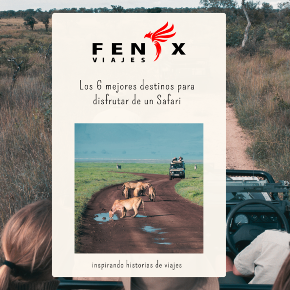 Los 6 mejores destinos para hacer un safari Los 6 mejores destinos para hacer un safari