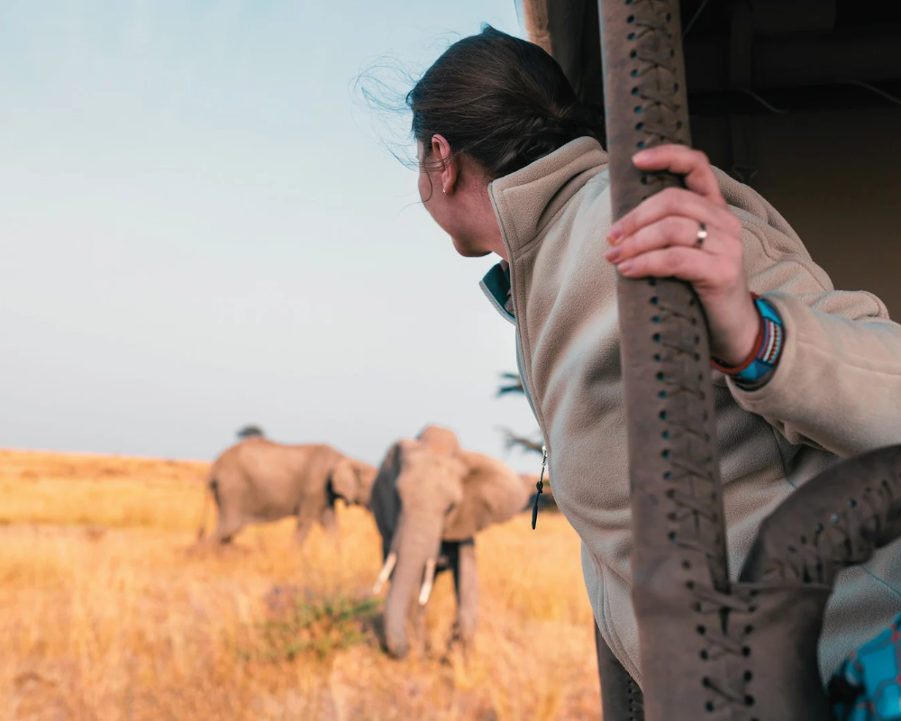 Los 6 mejores safaris por África