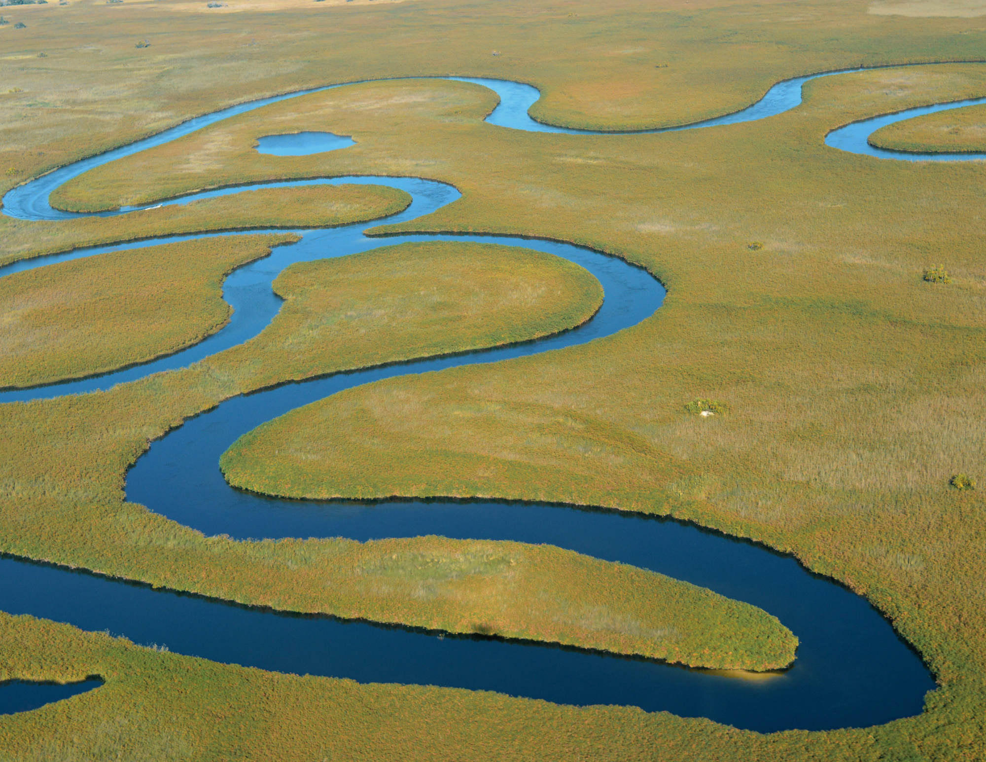 Delta-del-okavango