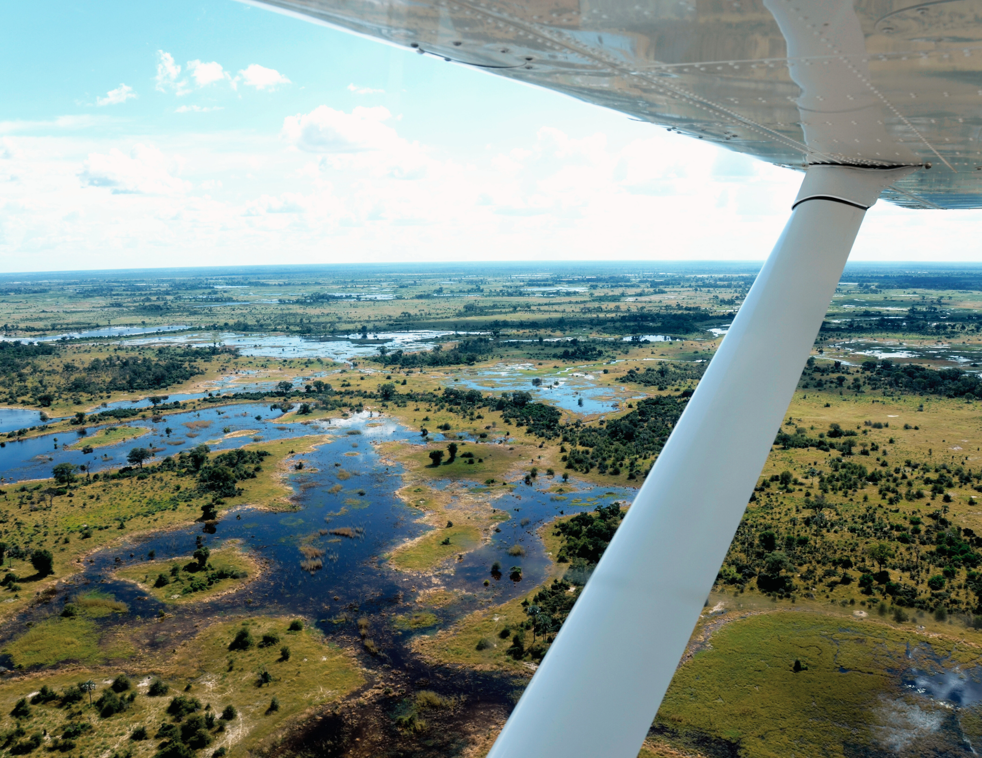 Hacer-un-safari-aéreo